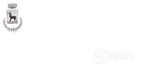 Logo Comune di Codigoro, Logo Proloco di Codigoro, Logo Musicanti srl, Logo Radio Sound